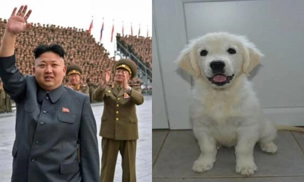 Ο Κιμ Γιονγκ Ουν ζητά την… κατάσχεση των σκύλων της Β. Κορέας!